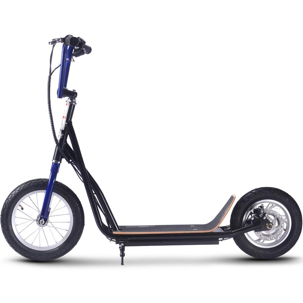 Electric Trike