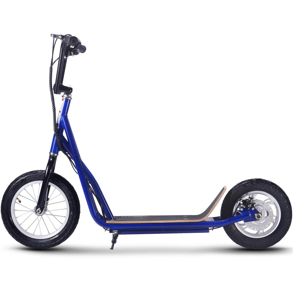 Electric Trike