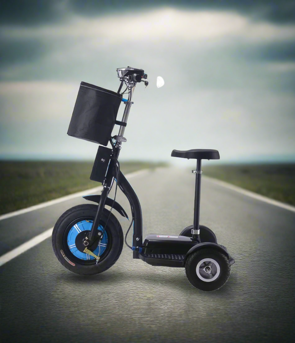 Electric Trike
